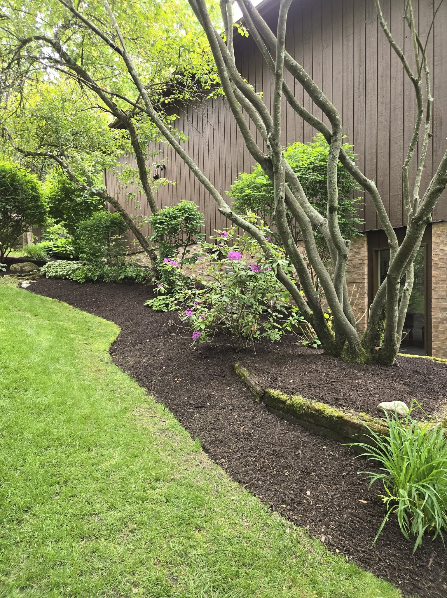 Foundation Beds with Blooming Shrubs