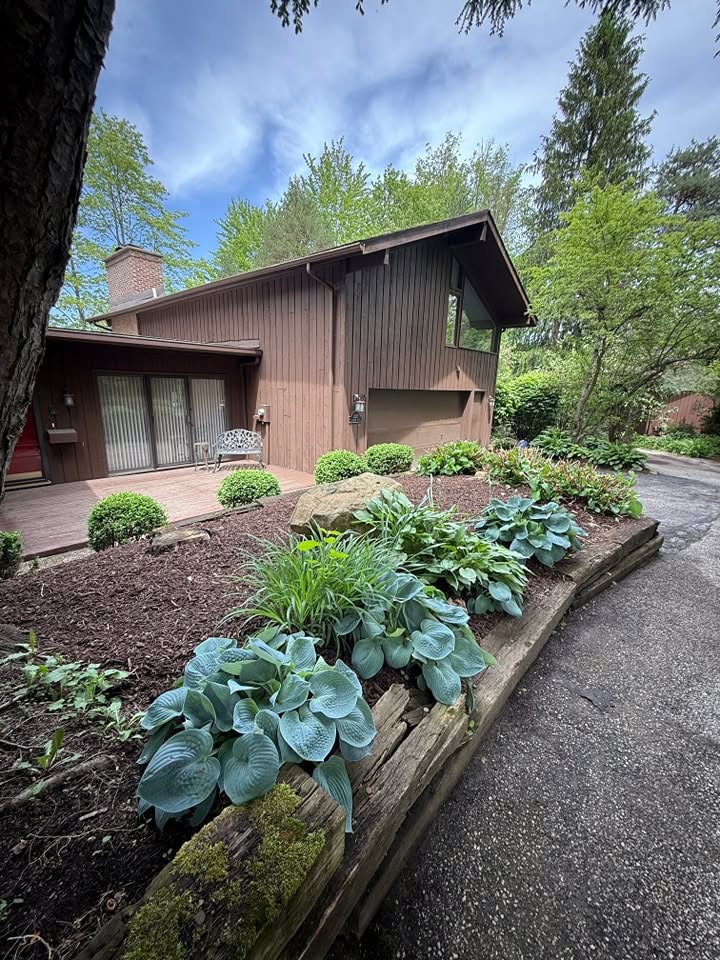 Hosta Garden Bed