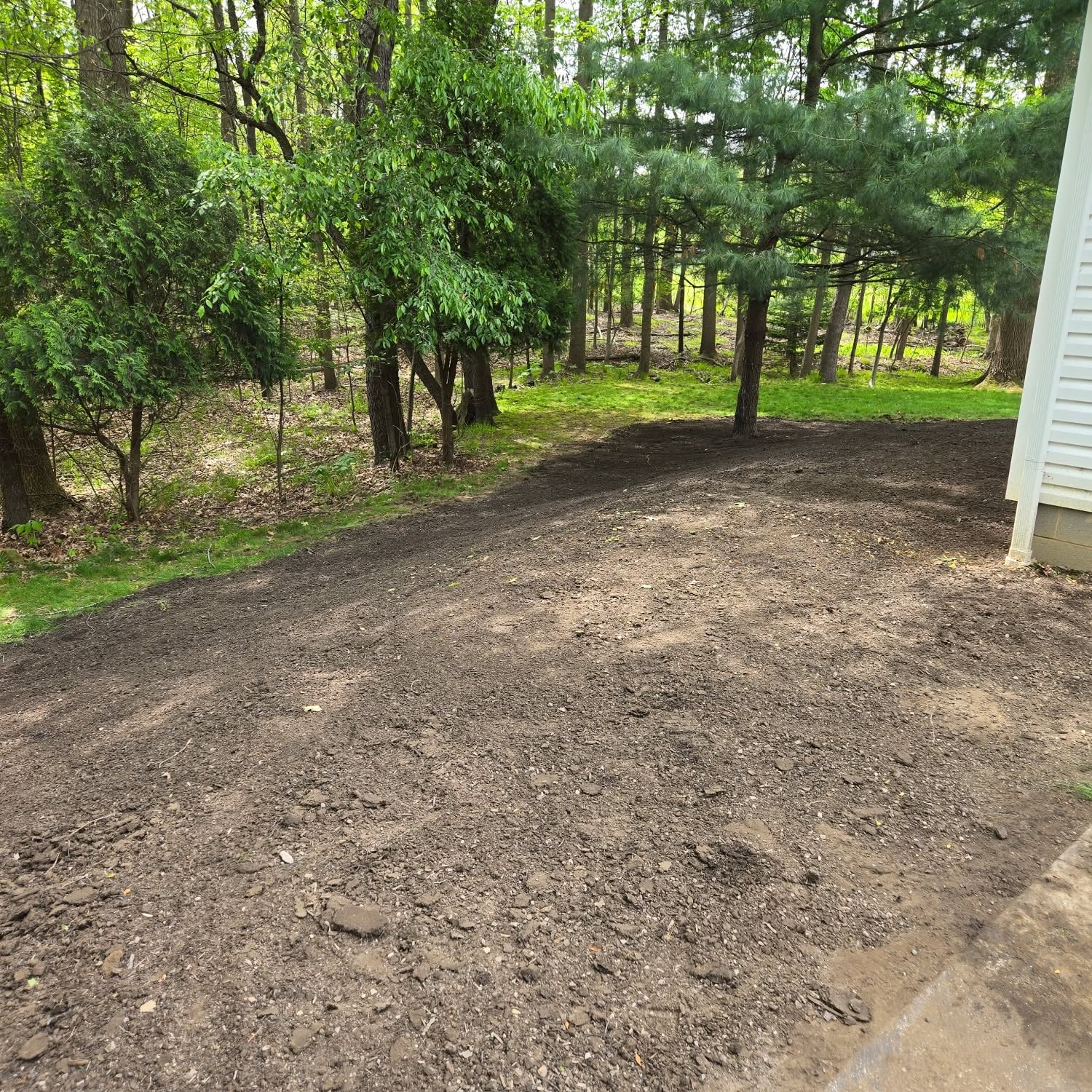 Fall Cleanup example 2